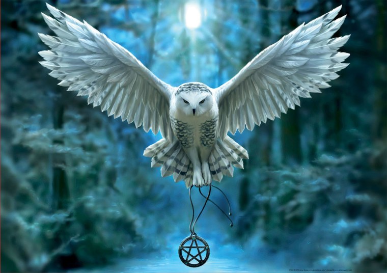 Кот с крыльями