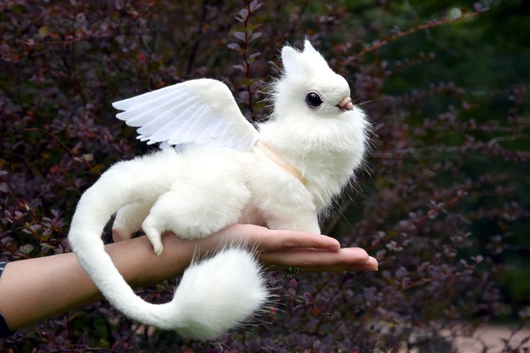 Милейшие животные с крыльями