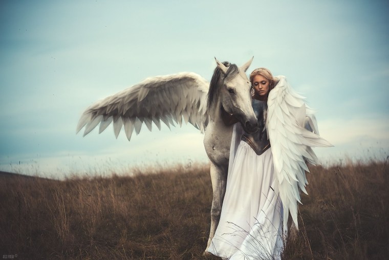 Дарья Лефлер Пегас