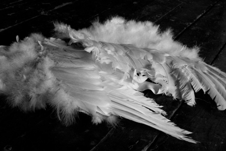 Красивые Крылья