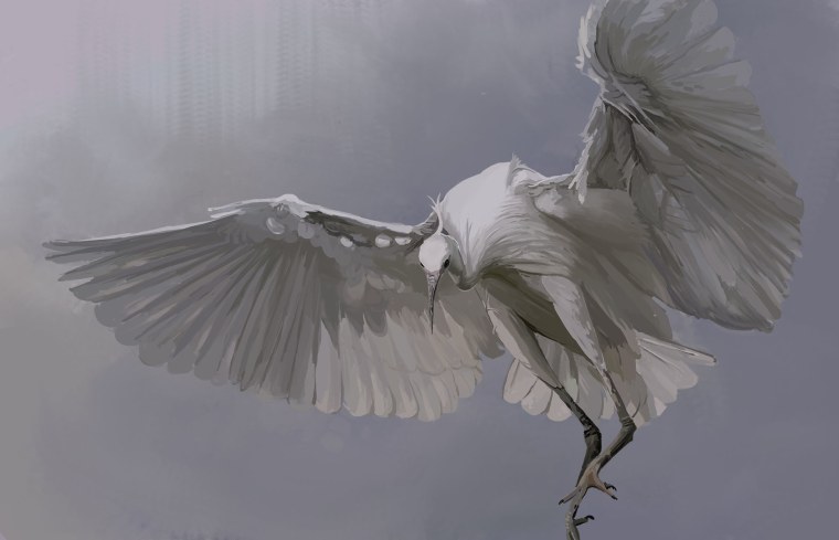 Птицы Эстетика