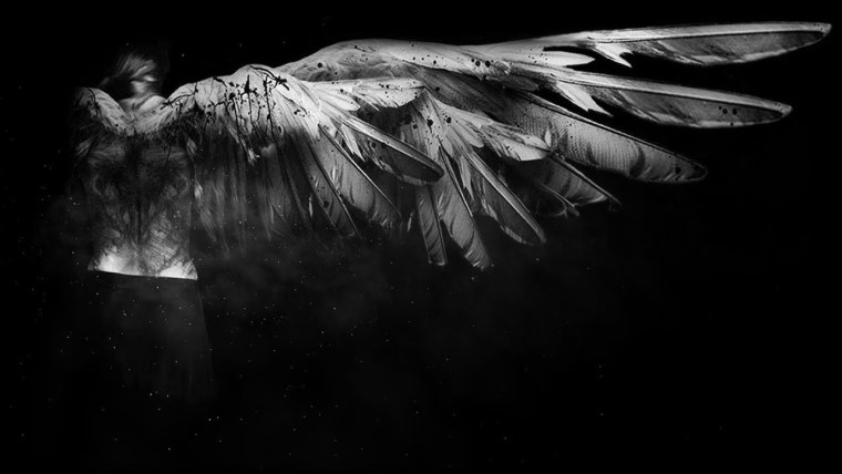 Сова Букля из Гарри Поттера