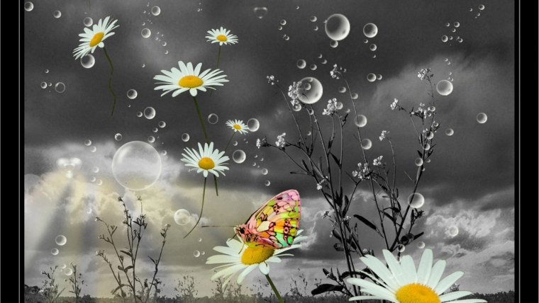 Бабочки в цветах