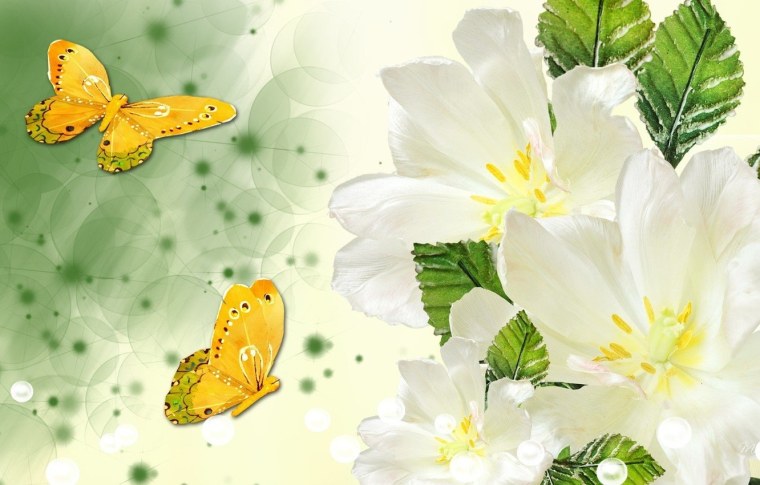 Бабочки на цветах живопись