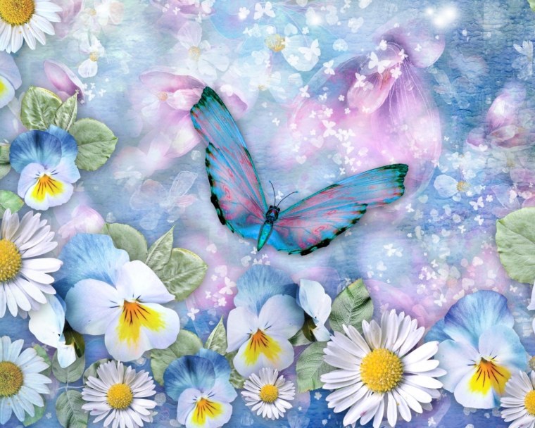 Лето бабочки