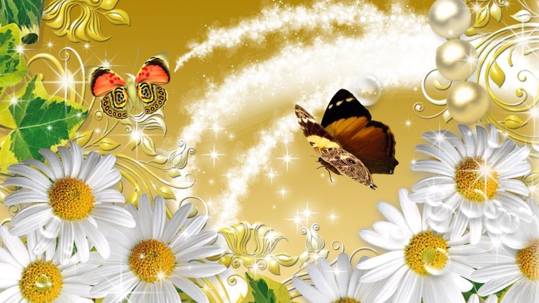 Фотографии с бабочками и ромашки для печати
