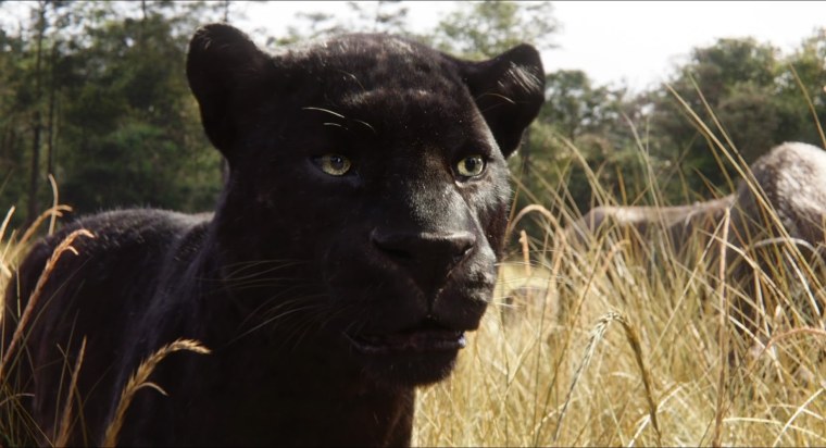 Книга джунглей 2016 Багира