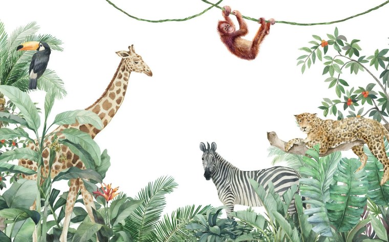 Детские фотообои джунгли