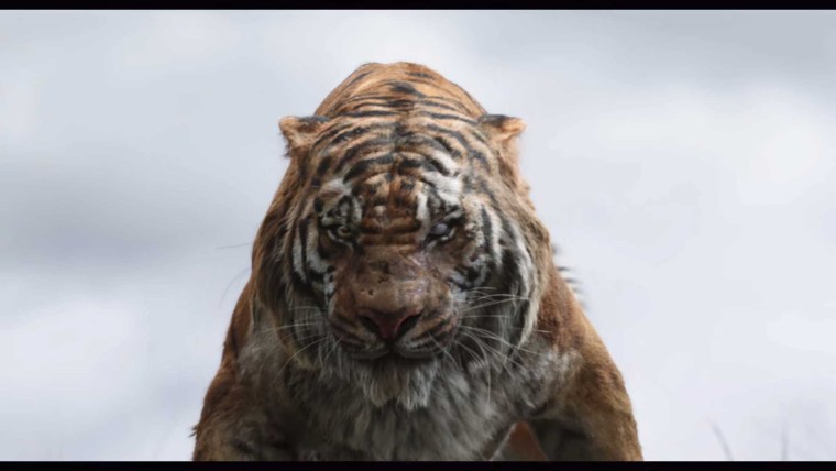 Шерхан Маугли 2016