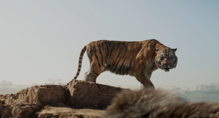 Шерхан фильм