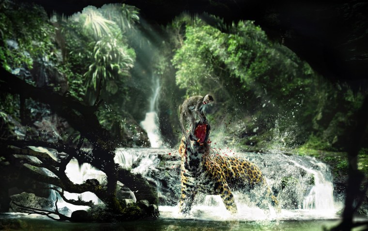 Ягуар на водопаде