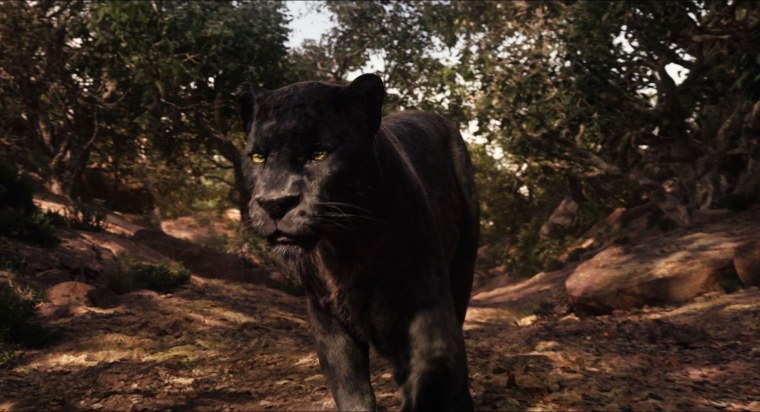 Багира и Маугли 2016