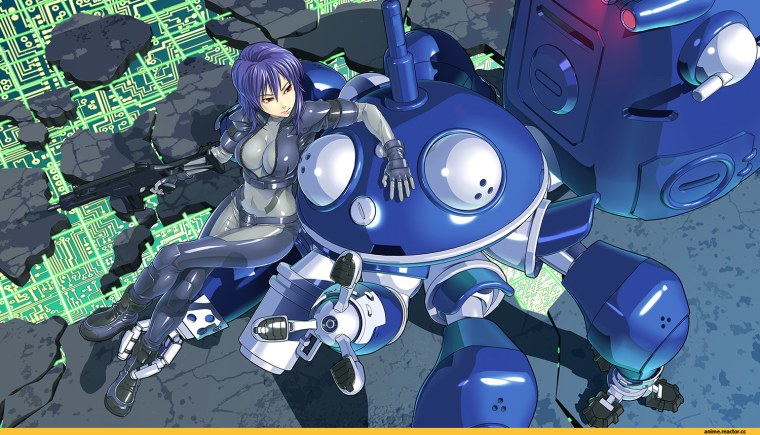 Призрак в доспехах аниме Татикома