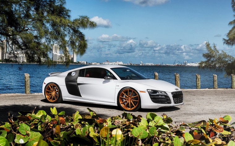 Audi r8 White