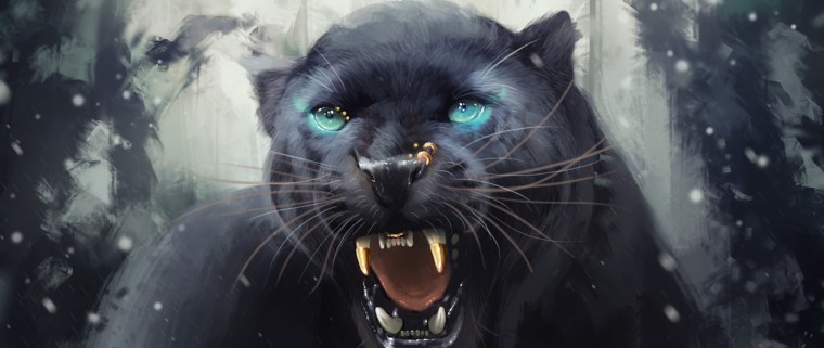 Черная пантера Грация