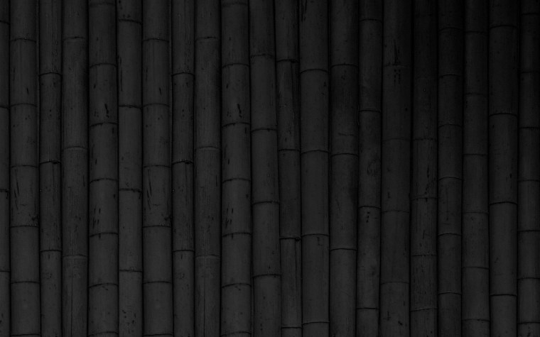 Бамбук на темном фоне