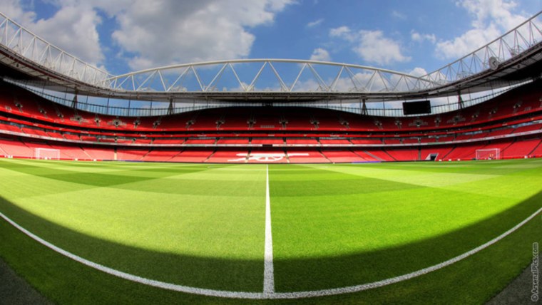 Газон трава сбоку