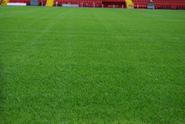 Футбольный стадион с воротами