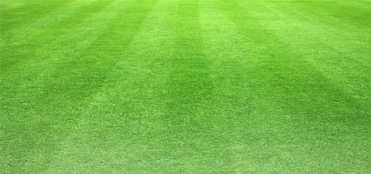 Заброшенный стадион