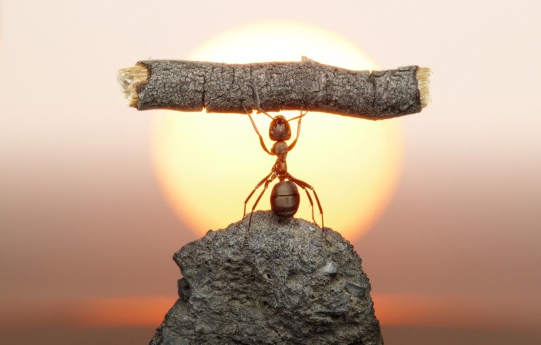 Вера в свои силы