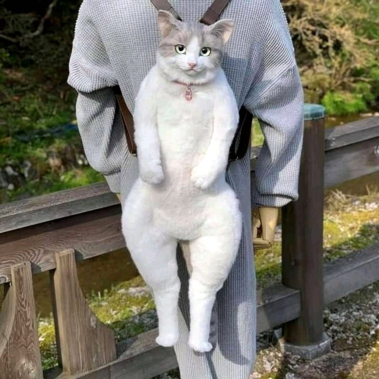 Реалистичная сумка в виде кошки