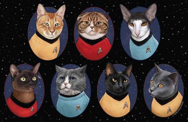 Планеты в виде котов