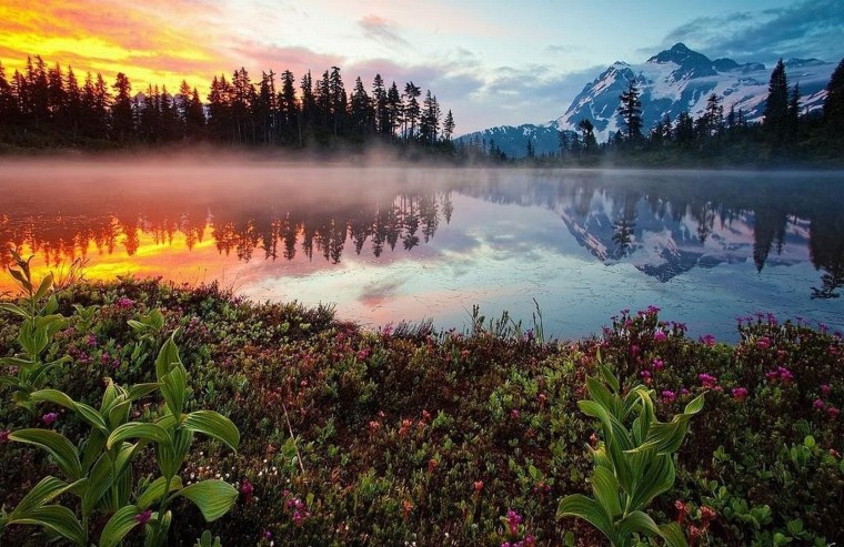 Чудесный мир природы