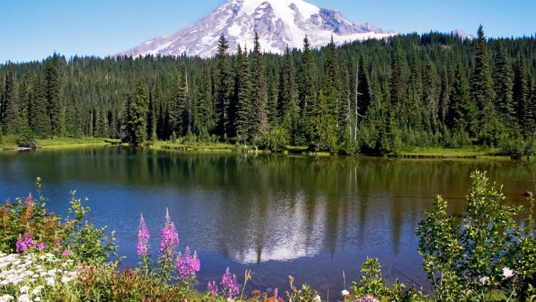 Национальный парк Маунт-Рейнир, штат Вашингтон