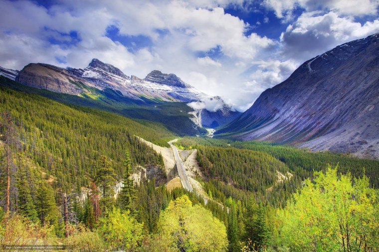 Банф национальный парк Флора