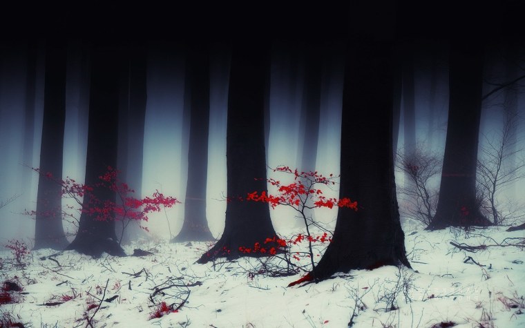 Кроваво красный