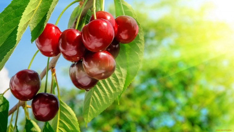 Телевизор Horizont 22le5207d 22" (2014)