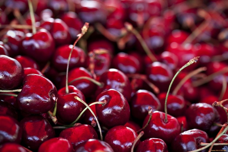 Вишня ланнезиана