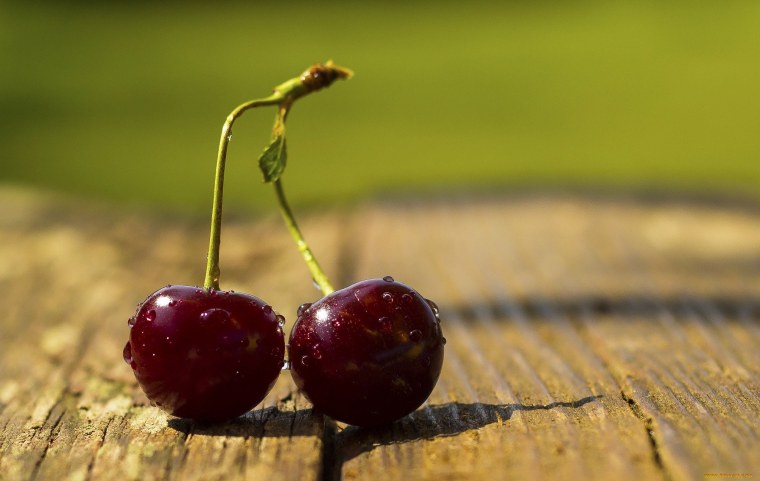 Вишня Апухтинская