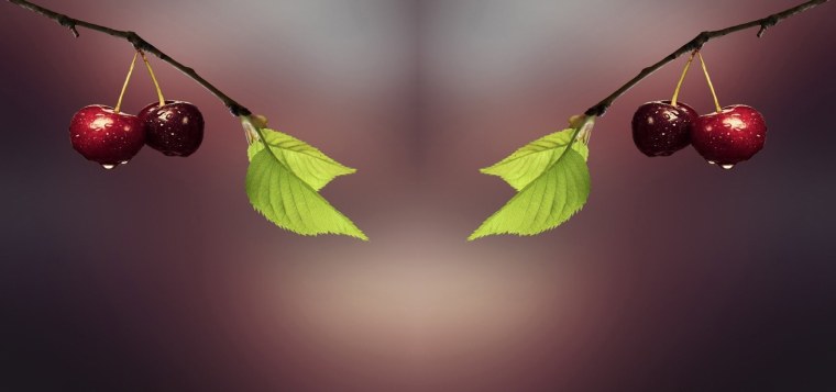 Вишня Краса Татарии