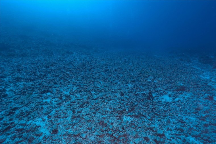 Дно океана