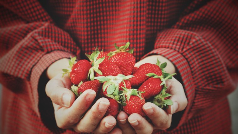 Ягоды Эстетика