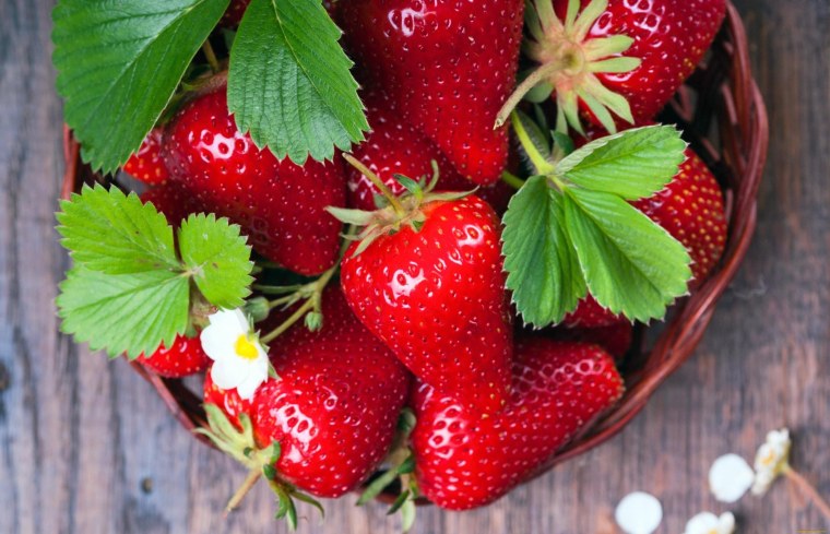 Клубника ремонтантная Остара