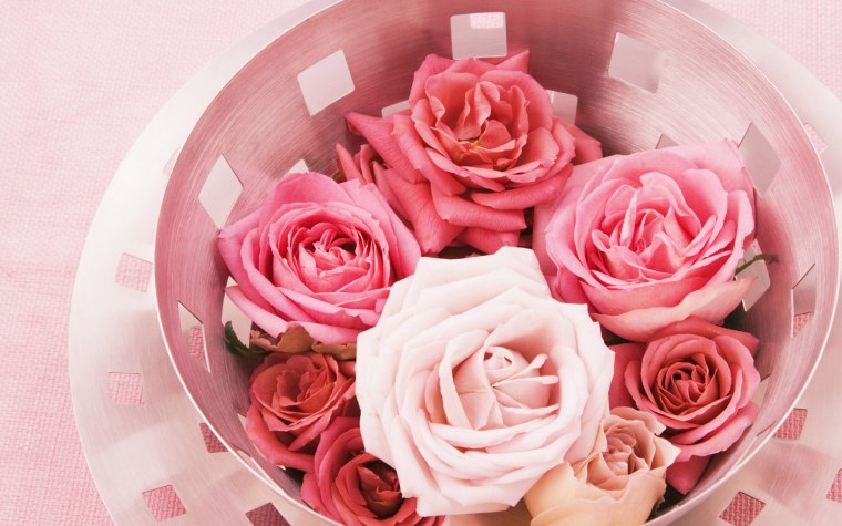 Переливающиеся цветы