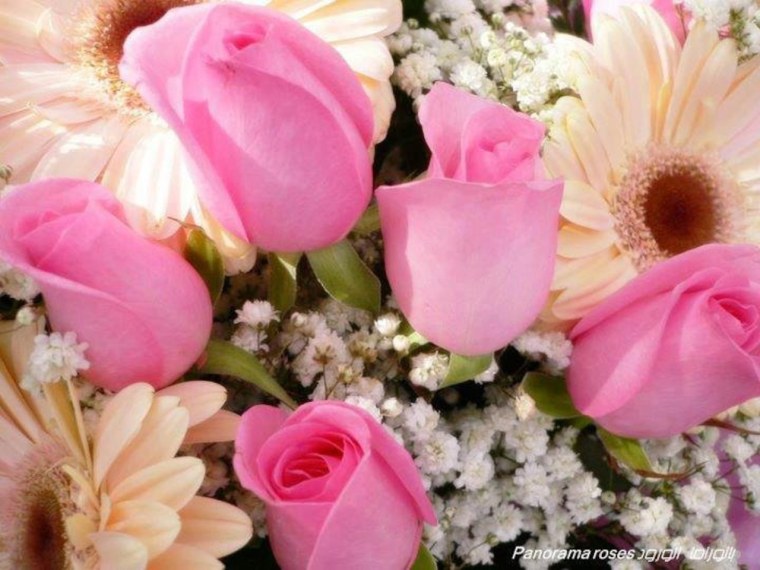 Красивые цветы на аватарку