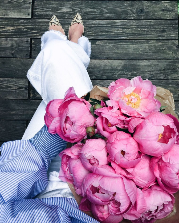 Роза Пинк Флорилэнд