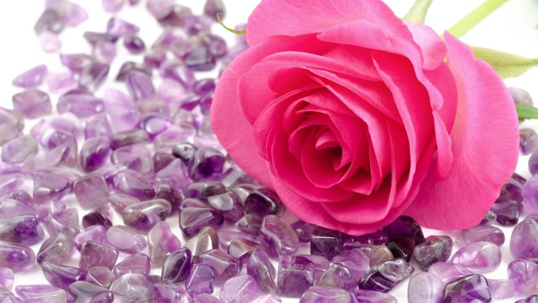 Красивые цветы на аву