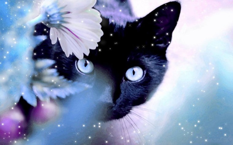 Открытки с котятами красивые