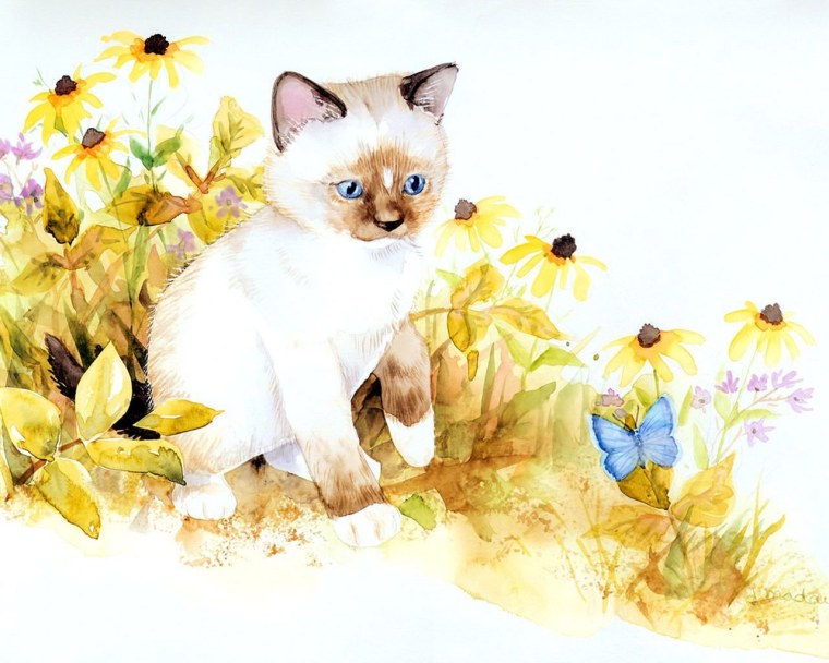 Белый пушистый котенок