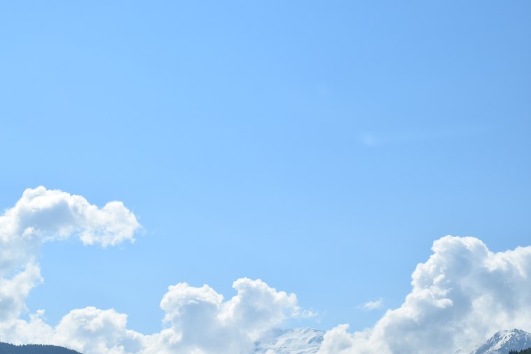 Сталкер чистое небо наёмники