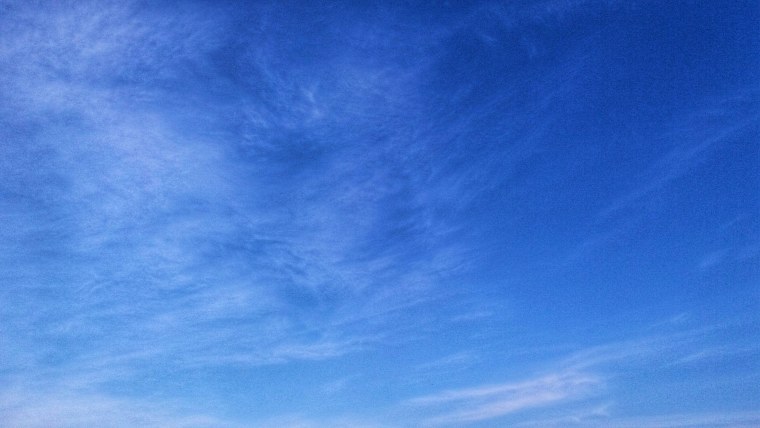 Сталкер чистое небо на рабочий стол