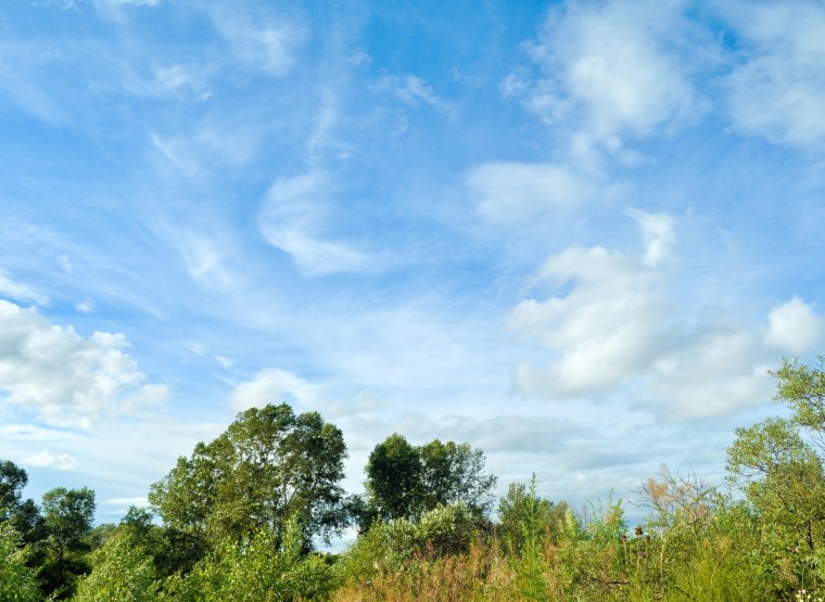 S T A L K E R чистое небо 1