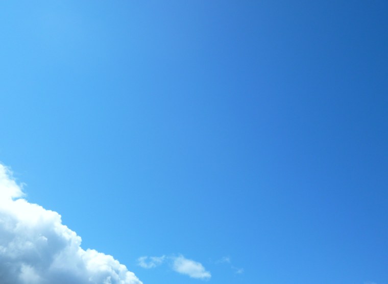 Сталкер группировка чистое небо арт