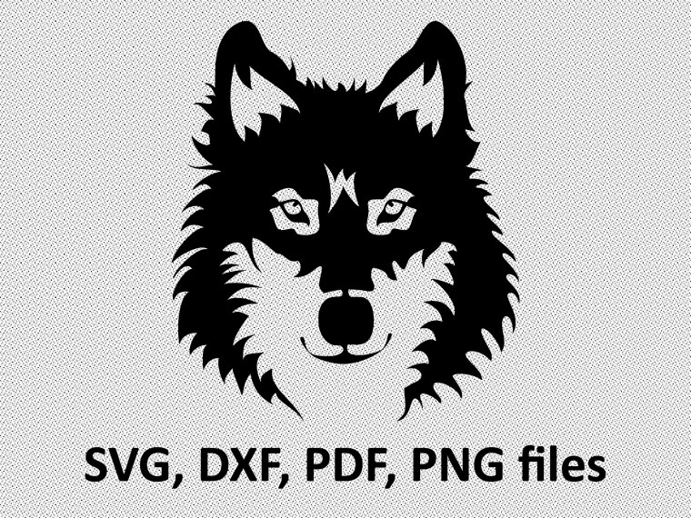 Моя земля Мои правила