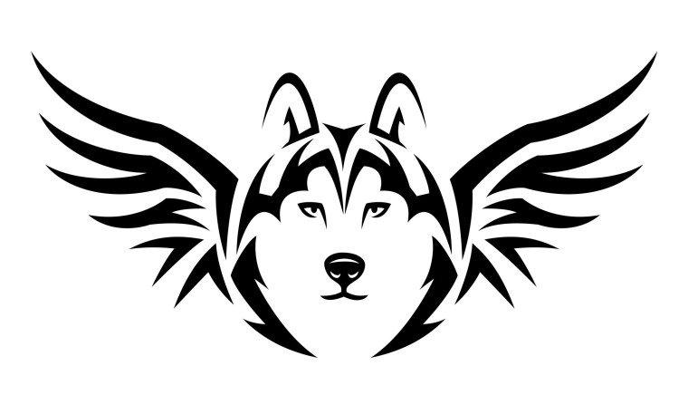 Голова волка сзади