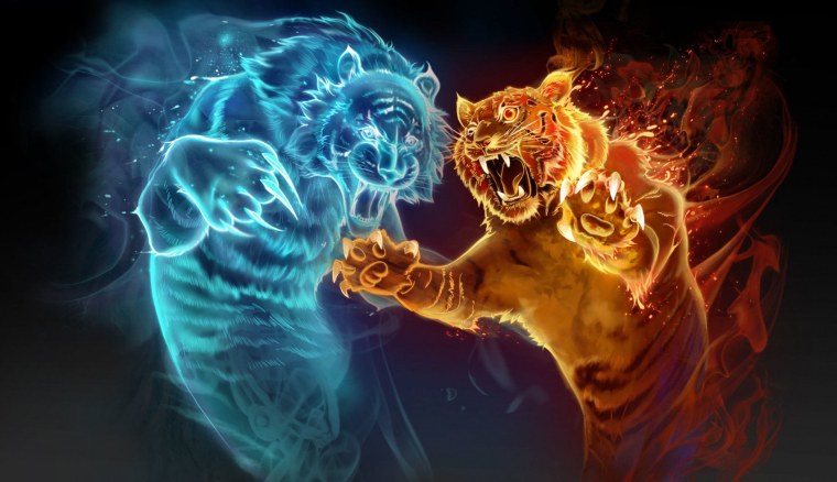 Огненный тигр